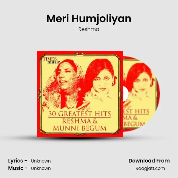 Meri Humjoliyan mp3 song