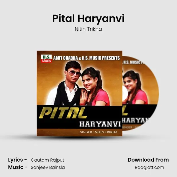 Pital Haryanvi - Nitin Trikha album cover 