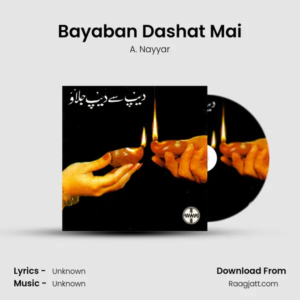 Bayaban Dashat Mai - A. Nayyar album cover 