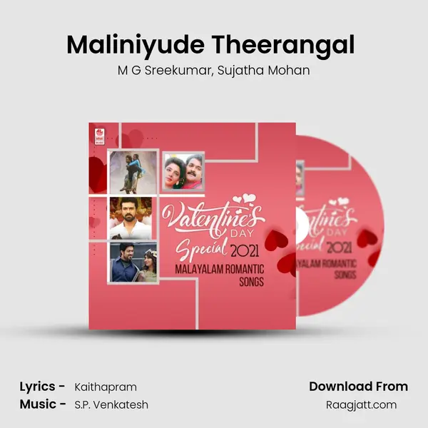 Maliniyude Theerangal (From Gandharvam) mp3 song