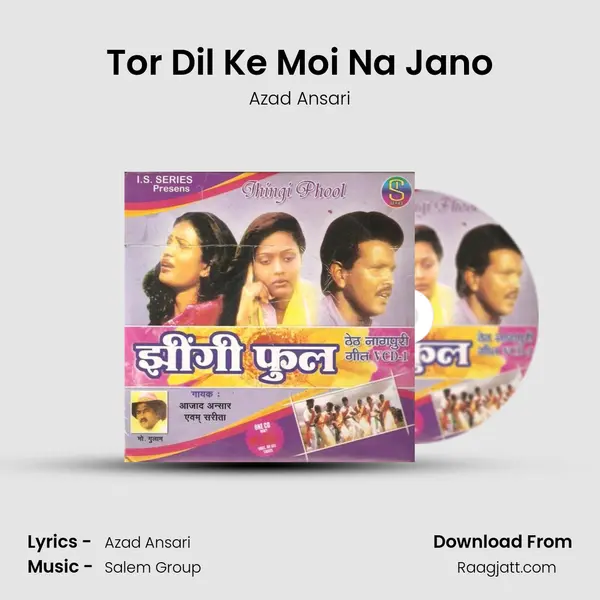 Tor Dil Ke Moi Na Jano mp3 song