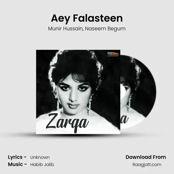 Aey Falasteen - Munir Hussain album cover 