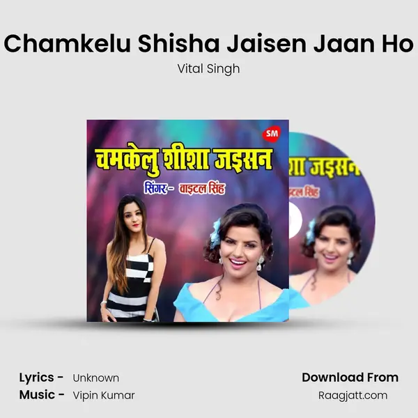 Chamkelu Shisha Jaisen Jaan Ho - Vital Singh album cover 