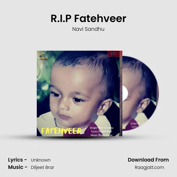 R.I.P Fatehveer - Navi Sandhu album cover 