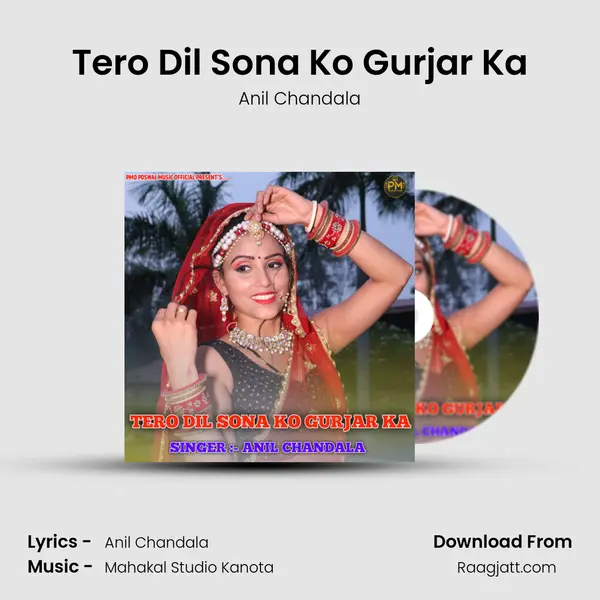 Tero Dil Sona Ko Gurjar Ka - Anil Chandala album cover 