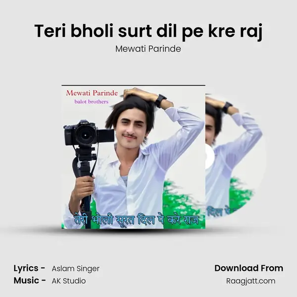 Teri bholi surt dil pe kre raj - Mewati Parinde mp3 song