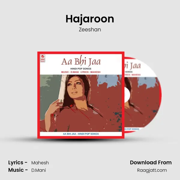 Hajaroon - Zeeshan album cover 