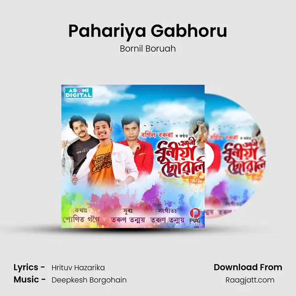 Pahariya Gabhoru - Bornil Boruah album cover 