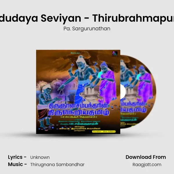 Thodudaya Seviyan - Thirubrahmapuram - Pa. Sargurunathan album cover 