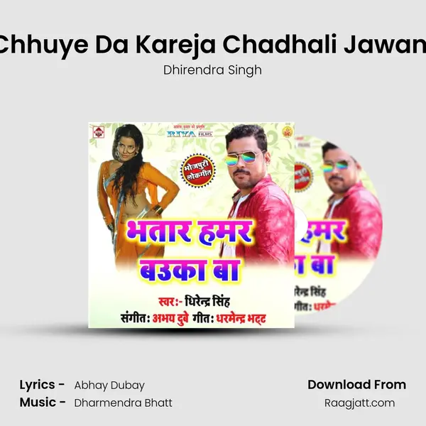 Chhuye Da Kareja Chadhali Jawani - Dhirendra Singh album cover 