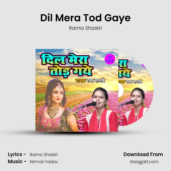 Dil Mera Tod Gaye mp3 song