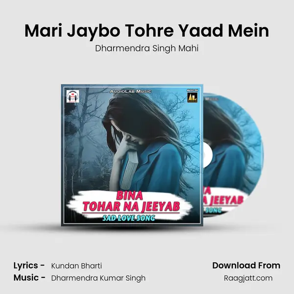 Mari Jaybo Tohre Yaad Mein - Dharmendra Singh Mahi album cover 