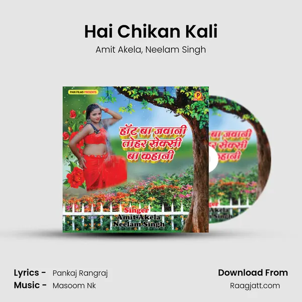 Hai Chikan Kali - Amit Akela album cover 