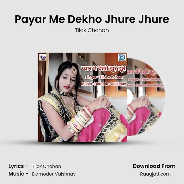 Payar Me Dekho Jhure Jhure - Tilok Chohan album cover 