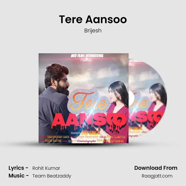 Tere Aansoo - Brijesh album cover 