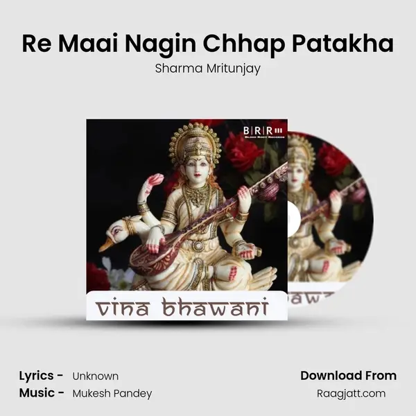 Re Maai Nagin Chhap Patakha mp3 song