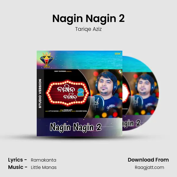 Nagin Nagin 2 - Tariqe Aziz album cover 