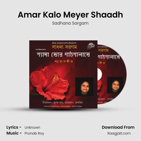 Amar Kalo Meyer Shaadh - Sadhana Sargam album cover 