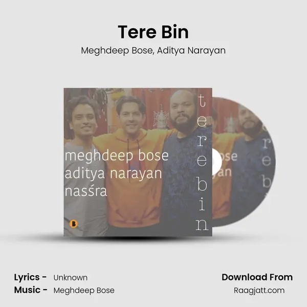 Tere Bin - Meghdeep Bose album cover 