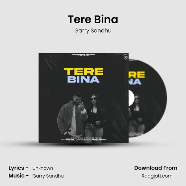 Tere Bina - Garry Sandhu album cover 