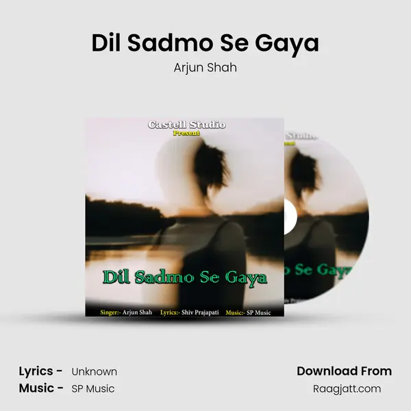 Dil Sadmo Se Gaya - Arjun Shah album cover 