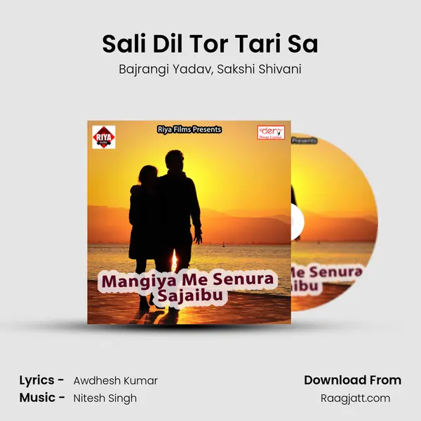 Sali Dil Tor Tari Sa mp3 song