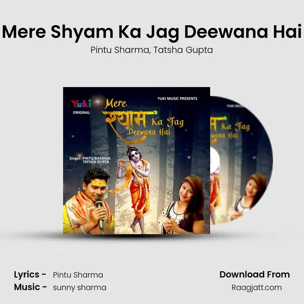 Mere Shyam Ka Jag Deewana Hai - Pintu Sharma album cover 