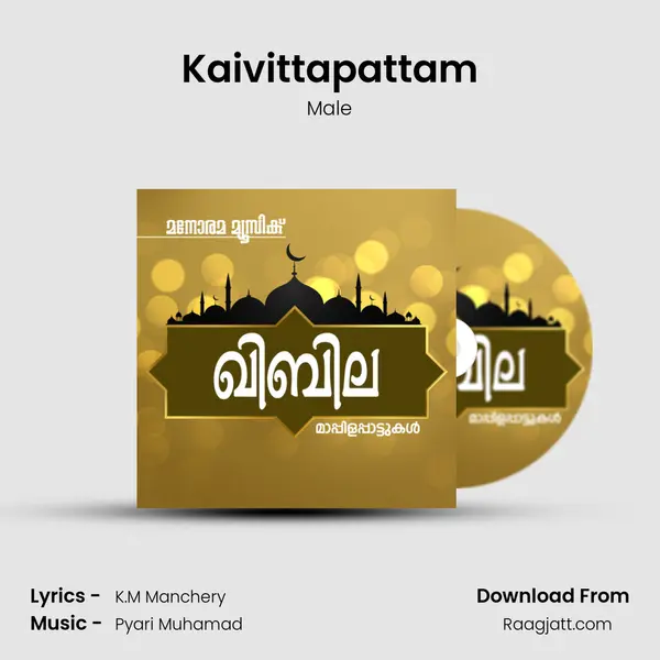 Kaivittapattam - Male album cover 