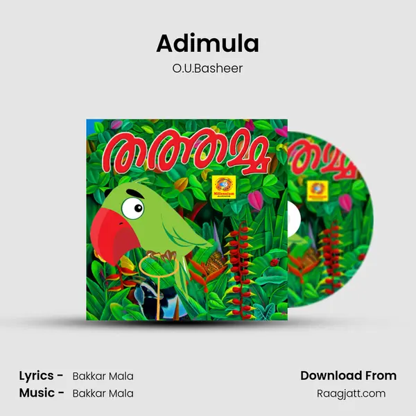 Adimula - O.U.Basheer album cover 