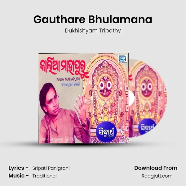 Gauthare Bhulamana - Dukhishyam Tripathy album cover 