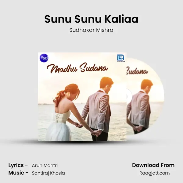 Sunu Sunu Kaliaa - Sudhakar Mishra album cover 