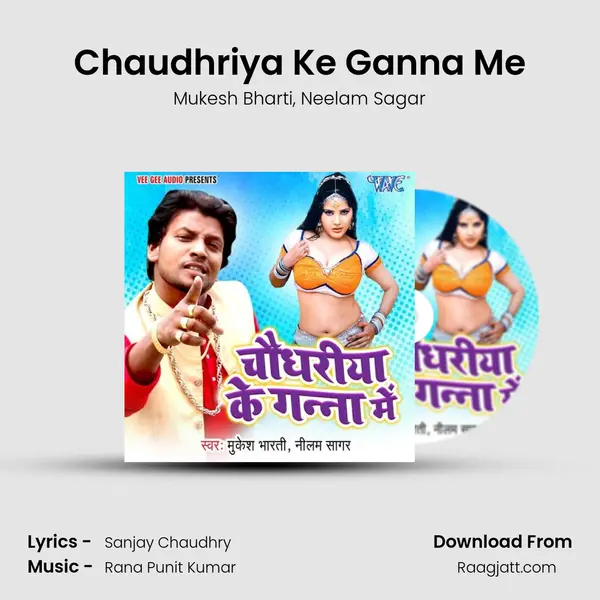 Chaudhriya Ke Ganna Me - Mukesh Bharti album cover 