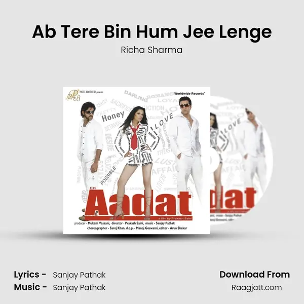 Ab Tere Bin Hum Jee Lenge - Richa Sharma album cover 