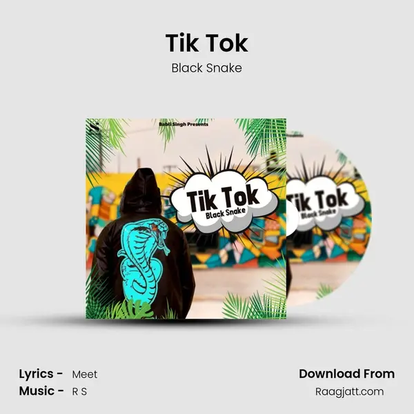 Tik Tok - Black Snake album cover 