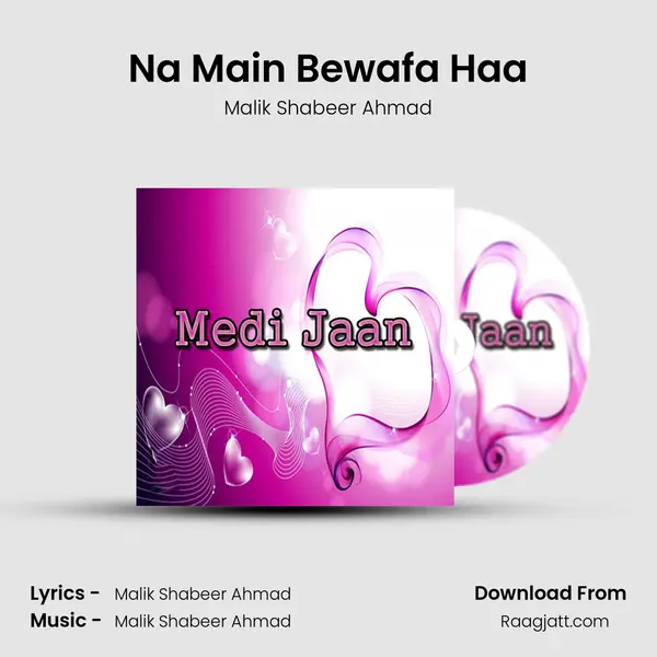 Na Main Bewafa Haa - Malik Shabeer Ahmad album cover 