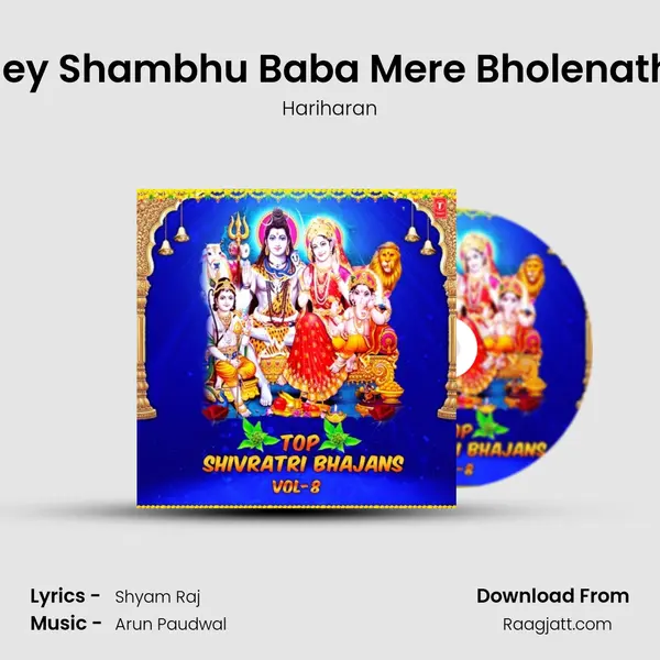 Hey Shambhu Baba Mere Bholenath (From Shiv Mahima) mp3 song