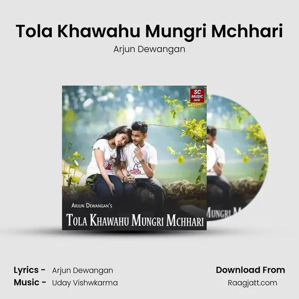 Tola Khawahu Mungri Mchhari - Arjun Dewangan album cover 