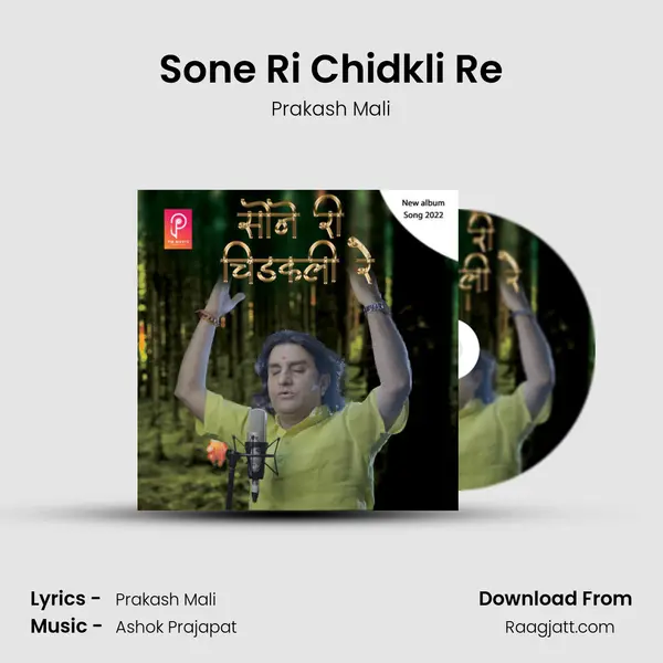 Sone Ri Chidkli Re mp3 song