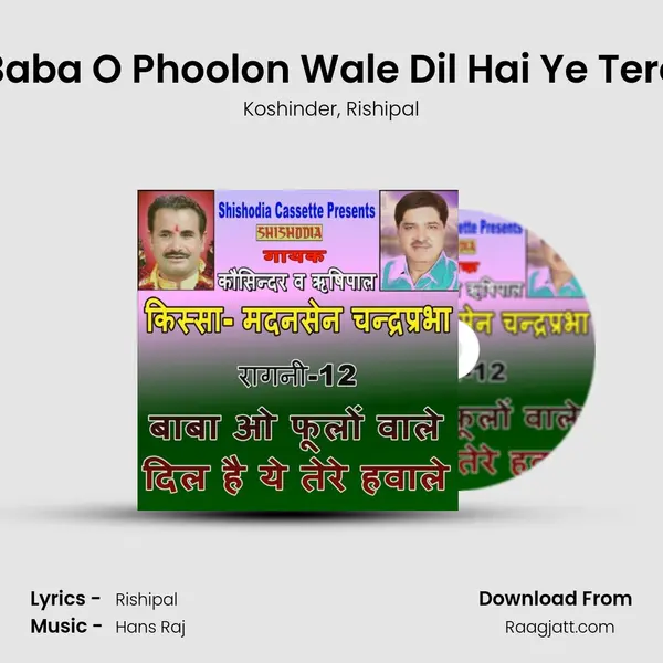 Baba O Phoolon Wale Dil Hai Ye Tere mp3 song