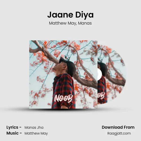 Jaane Diya - Matthew May album cover 