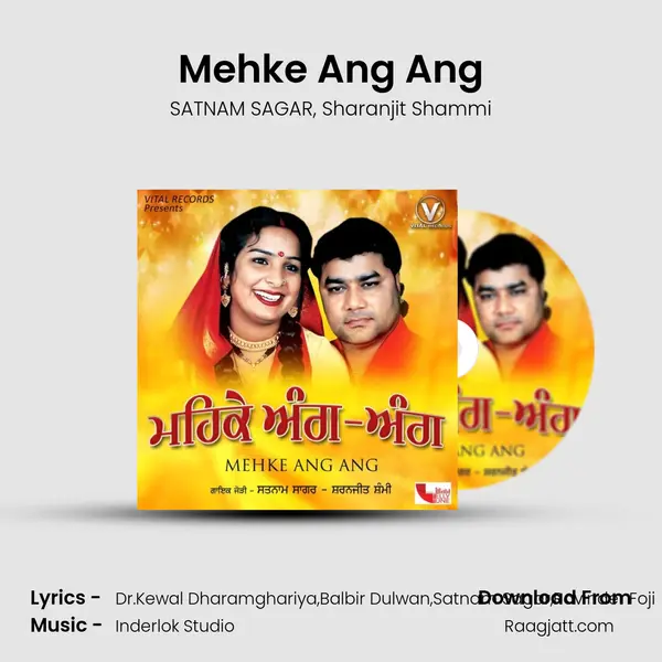 Mehke Ang Ang - SATNAM SAGAR album cover 