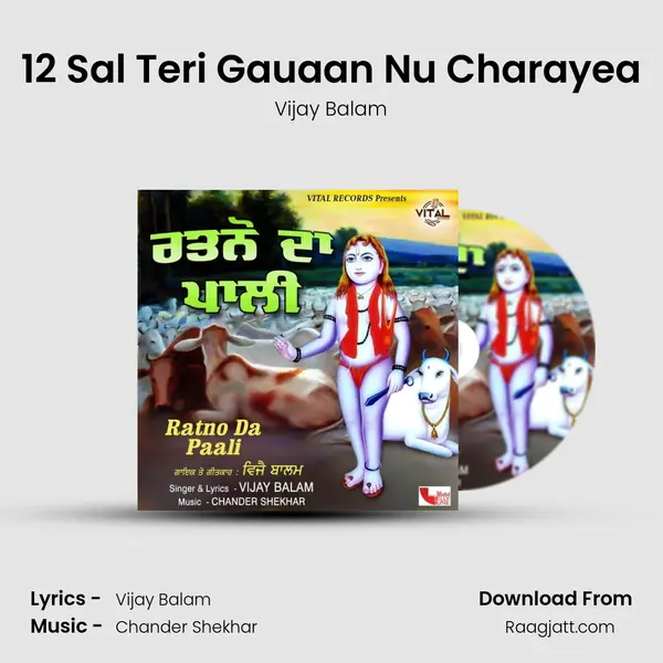 12 Sal Teri Gauaan Nu Charayea - Vijay Balam album cover 