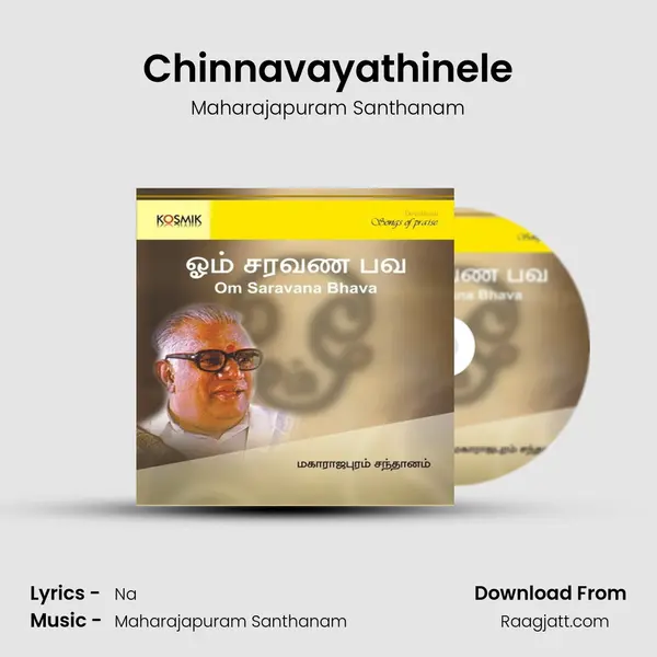 Chinnavayathinele - Maharajapuram Santhanam album cover 