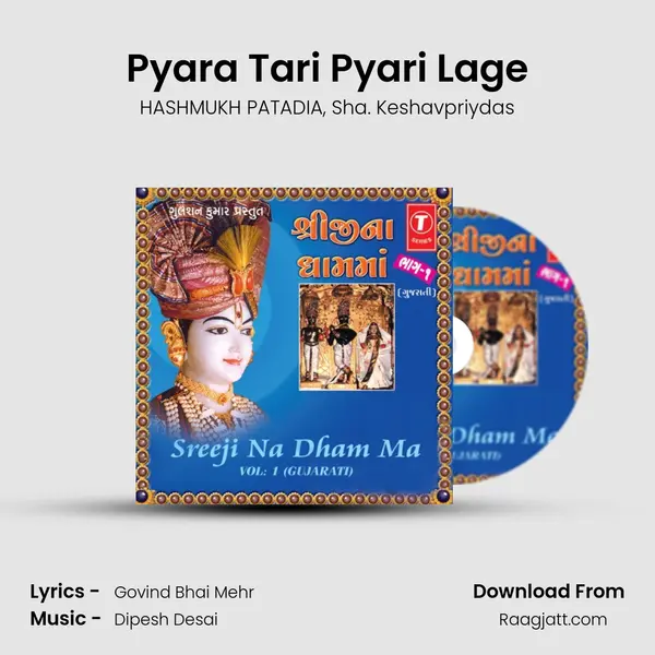 Pyara Tari Pyari Lage - HASHMUKH PATADIA album cover 