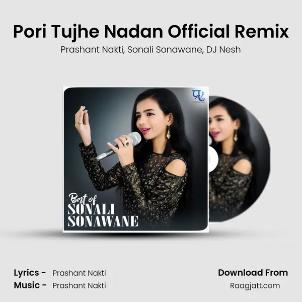 Pori Tujhe Nadan Official Remix mp3 song