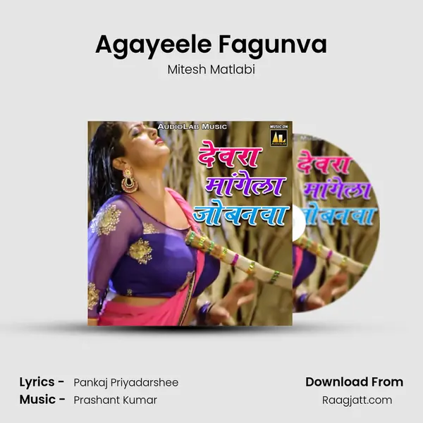 Agayeele Fagunva - Mitesh Matlabi album cover 