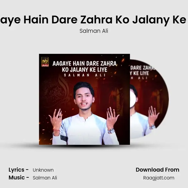 Aagaye Hain Dare Zahra Ko Jalany Ke Liye - Salman Ali album cover 