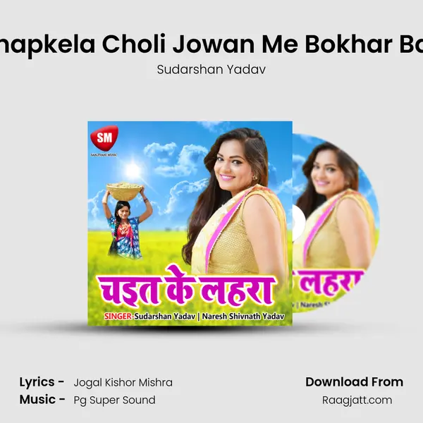 Chapkela Choli Jowan Me Bokhar Baa mp3 song