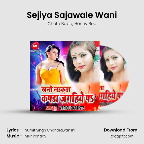 Sejiya Sajawale Wani - Chote Baba album cover 