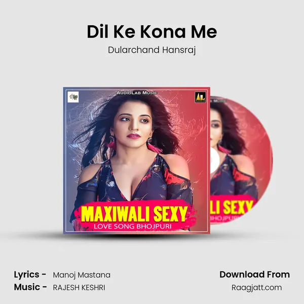 Dil Ke Kona Me - Dularchand Hansraj album cover 